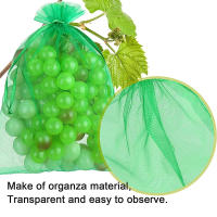 30PCS Bolsas De Protección Para Frutas Como Uvas Control De Plagas Y Pájaros En Jardín Y Huerto Malla De Nylon Para Frutas Y Verduras - details 1