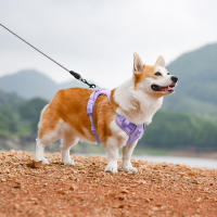Harnés De Malla De Nylon Para Perros Medianos Y Grandes Transpirable Con Reflejos Correa De Pecho Para Perros Franceses Bulldog - details 14