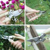 Tijeras De Podar De Acero Inoxidable Multifuncional Para Recolección De Frutas Y Jardinería Herramienta De Grafting De Flores - details 4