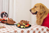 Juguete De Peluche Para Perros Snuffle Interactivo Juego De Actividad Alimenticio Entrenamiento IQ Juguete Masticable Sonoro Animal Lindo Para Entretener a Tu Mascota - details 4