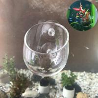 Decora Tu Acuario Con Este Mini Recipiente De Cristal Colgante Para Tanque De Peces. Accesorio Ideal Para Plantas Acuáticas. Transparente. Tamaño 7cmx6.4cm. Peso 73g. - details 2