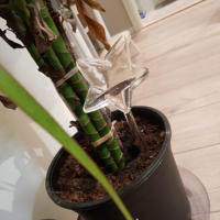 Riega Automático En Forma De Pájaro Para Macetas Herramientas De Jardín Rieador De Agua Para Plantas Sistema De Riego Por Goteo - details 7