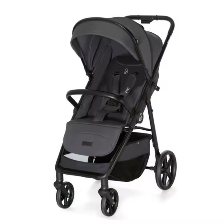 Silla Paseo Asalvo Fiyi - 1
