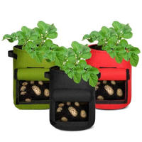 Bolsas de Jardín Portátiles para Cultivo en Color Sólido Forma Cuadrada Ideal para Plantar Zanahorias Zapatillas de Aceituna - details 5