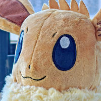 Peluche Pokémon De Peluche Juguete De Peluche De Anime Pikachu Bulbasaur Jigglypuff Lapras Eevee Regalo Para Niños - details 6