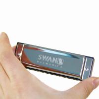 Harmonica 10 Agujeros Senior Bruce Para Blues Con Estuche Acero Inoxidable Y Latón Para Música Instrumento De Musicalización - details 4
