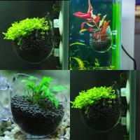 Vaso De Planta Acuática Con Soporte De Absorción Para Acuario Mini Vaso De Red Worm Decoración Para Tanque De Peces Y Aquascape De Vidrio Rojo - details 3
