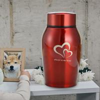 Urbana De Acero Inoxidable Para Mascotas Portátil Y Ligera Recuerdo De Funeral Cremación Para Gatos Perros Conejos - details 2