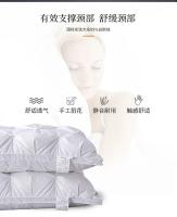 Almohada De Pluma De Ganso Blanca Para Invierno 100% Algodón Capa Superior Estilo 3D Rectangular Para Cuello Queen King Tamaño De La Cama - details 15