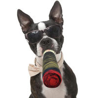 Juguete De Perro Divertido Squeaky Cigarrillos Relleno D0LD Juguete Masticable Para Mascotas Juguetes Inteligentes No Disponibles - details 2