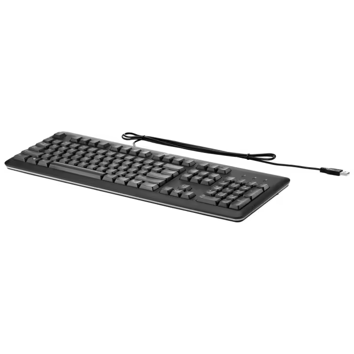 Teclado USB para PC en Español HP - 1