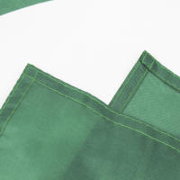 Bandera De Pakistán 90X150cm Para Decoración Material Poliéster Estilo Colgante Personalizable Sin Químicos Originales De China - details 4