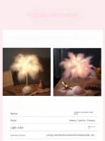 Lámpara De Mesa Con Plumas Luz Nocturna LED Para Decoración De Bodas Y Dormitorios Con Control Remoto Fuente De Alimentación Por Batería - details 1