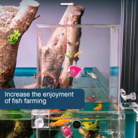 Elevador De Peces En Tanque De Agua Con Presión Negativa Mantenimiento Del Nivel Del Agua Decoración De Acuario Actividad De Peces Área Increase - details 5