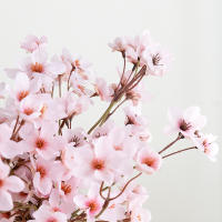Bouquet De Flores Artificiales De Cerezo Y Prunus Decorativas Baratas Para Casa Arreglo Floral Falso Para Bodas Y Navidad - details 4