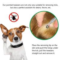 Juego De Pinzas Y Herramientas Para Rascado De Acero Inoxidable Para Perros Y Gatos Eliminador De Pulgas Y Pulgas Suministros De Peluquería Para Mascotas - details 2