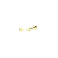 2Pcs Aretes Planos Dorados Para Mujer Aretes De Agujero Pequeños Con Cierre De Tornillo Hipoalergénicos Estilo Huggie - details 15