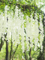 12pcs Guirnalda De Flores Artificiales De Wisteria Colgante Vinatera De Seda Para Decoración De Hogar Y Bodas Exterior - details 8