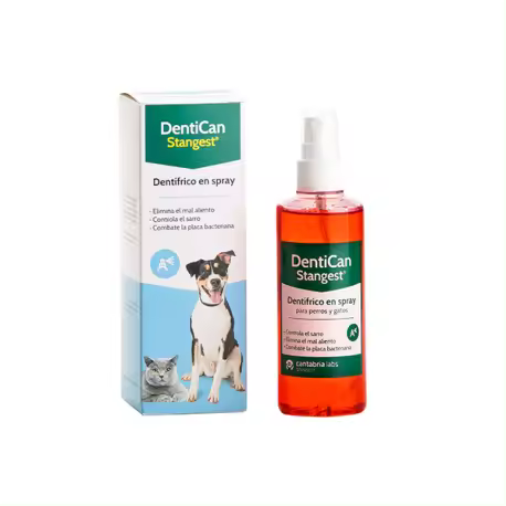 DENTICAN SPRAY 125ml - 1