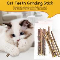 Juguetes Para Gatos De Madera 10 Piezas Polygono Mordedor Y Agarrador Juguetes Para Mascotas Productos Para Gatos - details 0
