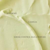 Beauty of Joseon - Barra de protección solar mate con aroma a artemisa y camelia (18 g, 0,63 fl. oz) - details 1