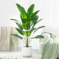 Planta Artificial De Palma Tropical Grande Hojas De Plátano Falso 24 Hojas Toque Real Strelitzia Reginae Para Jardín Interior 65-120 Cm - details 4