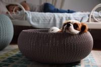 Curver  - Cama para Mascotas, Color Arena Tecnologia de textura de punto Suave cojin incluido Medidas: 55 x 54 x 21 cm CALIDAD DE CONFIANZA - details 0
