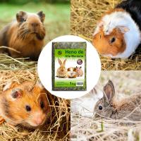 KROWN - Heno de Alta Montaña con Hierbas Naturales - Alimento Esencial para Hámster y Mascotas Pequeñas (1kg) - details 1