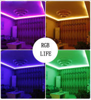 Tira LED Flexible RGB 5050 220V Luz Exterior Impermeable IP67 60leds/m Con Enchufe 5M/10M/15M Para Decoración De Hogar Y Jardín - details 14