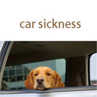 Máscara Para Perros De Nylon Anti Ansiedad Accesorio Para Peluquería Y Viaje Capa Calmante Para Mascotas Blindfold Pet - details 2