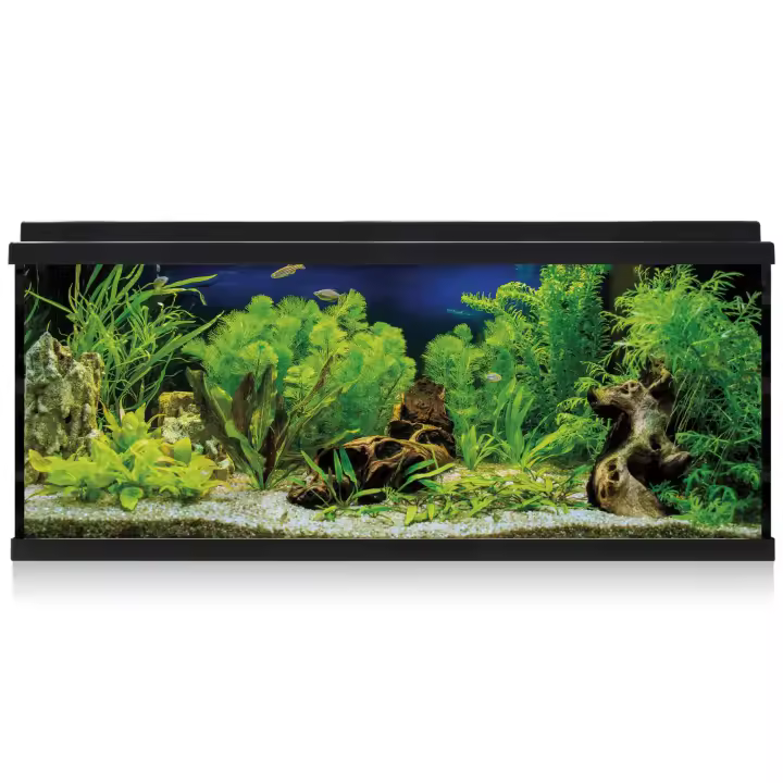 Ica Kit AQUA LED 100 con Filtro Interior - Acuario Negro 44,2x30,5x79,7cm - 1