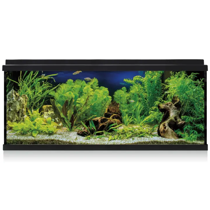 Ica Kit AQUA LED 100 con Filtro Interior - Acuario Negro 44,2x30,5x79,7cm - 1