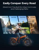 Bicicleta Eléctrica Plegable ENGWE EP-2 Boost, Motor 250W, Batería 48V 13Ah, Neumáticos Anchos  20*4.0 pulgadas, Máxima 25 km/h, Autonomía 120 km, Freno Disco Mecánico Delantero y Trasero, Sensor de Par, Suspensión Delantera, Shimano 7 Velocidades - details 0