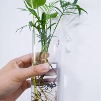 2pcs Jarrones De Vidrio Para Plantas Perfectos Para Decoración De Hogar Jardines Oficinas Accesorios Tubos Contenedores Montados En La Pared - details 3