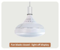 Ventilador De Techo LED IRALAN Con Plumas Retráctiles Y Control Remoto Luz Invisible Para Dormitorio Estilo Moderno Y Sencillo - details 13