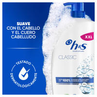 H&S | Pack Classic Champú Anticaspa con Dispensador, 4800ml, para Uso Diario. Hasta 100% de Protección Anticaspa, Clínicamente Probado. Para Todo Tipo de Pelo y Cuero Cabelludo. Sensación de Frescor 6x800ml - details 0
