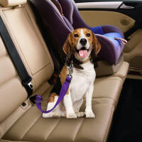 Cinturón De Seguridad Para Coche Para Perros Con Correa Elástica Reflectante Y Amortiguadora Accesorio De Seguridad Para Mascotas - details 0