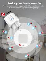 Interruptor Inteligente ZigBee Tuya EU 20A Con Monitor De Energía Y Temporizador Adaptador Para Hogar Inteligente Compatible Con Alexa Google HOME - details 1
