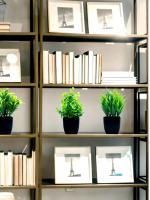 1pc Falsa Planta De Eucalipto Artificial En Maceta Negra Para Decoración De Interiores Oficina Farmacia Baño Estilo Rústico - details 1