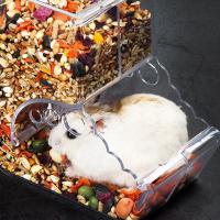 Dispensador De Alimentos Para Mascotas Pequeñas Como Hamsters Conejos Y Ardillas Plástico Transparente Alimentador Automático Para Hamsters Guineapicos - details 12