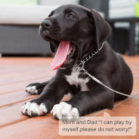 Cable De Atadura Para Perros 4.6m/9m/15m Línea De Paseo Para Jardín Con Clip De Alta Calidad Para Perros Menores De 250 Lbs - details 1