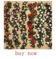 Vine Artificial Para Decoración De Hogar Boda Navidad Y Fiestas 10cm/15cm/20cm Marco Para Wreath DIY Adornos Colgantes Para Puertas Y Jardines - details 4