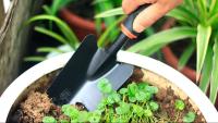 Juego De Herramientas De Jardín 5 Piezas: Shovel Rake Hoz Podaderos - Kit Esencial Para Jardinería - details 1