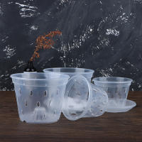 Maceta De Flor Transparente Con Agujeros Para Jardín Y Orquideas Accesorios De Maceta De Plástico Moderno Con Drenaje - details 10