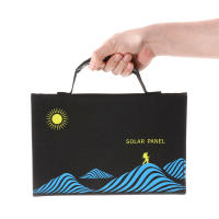 Panel Solar Plegable De 100W Con Bolsa Y Salida USB+DC Cargador Portátil Dispositivo De Carga Solar Para Exteriores Suministro De Energía Portátil - details 11