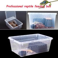 Caja De Cría De Reptiles Transparente Terrario Para Tortugas Geckos Sapos Transporte De Animales Habitaci\u00f3n Plástico - details 0