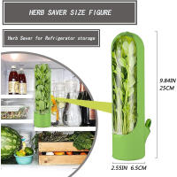 Botella De Conservación De Verduras Y Hierbas Para Nevera Contenedor De Almacenamiento Familiar Para Alimentos Tamaño Mediano Material ABS - details 8