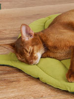 Cama De Gato En Forma De Hoja Almohadilla Cómoda Y Cálida Para Perro Y Gato Doble Cara Cubierta De Suelo Con Diseño Cartoon - details 1