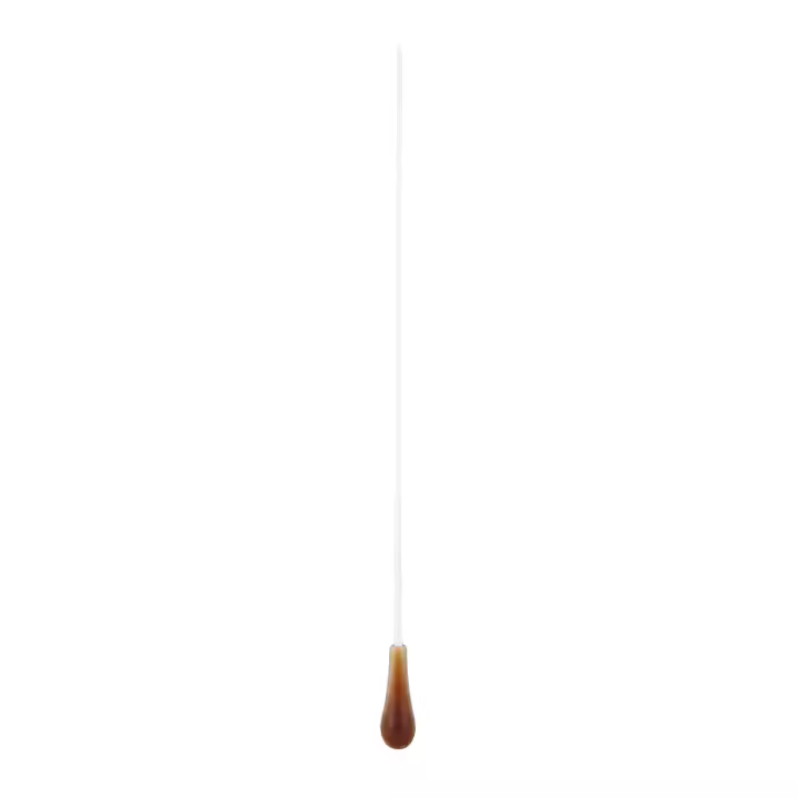 Batuta De Música Profesional En Resina Para Escenario Performance Director Wand Stick Para Concierto Orquesta Equipo Conductor Regalo - 1