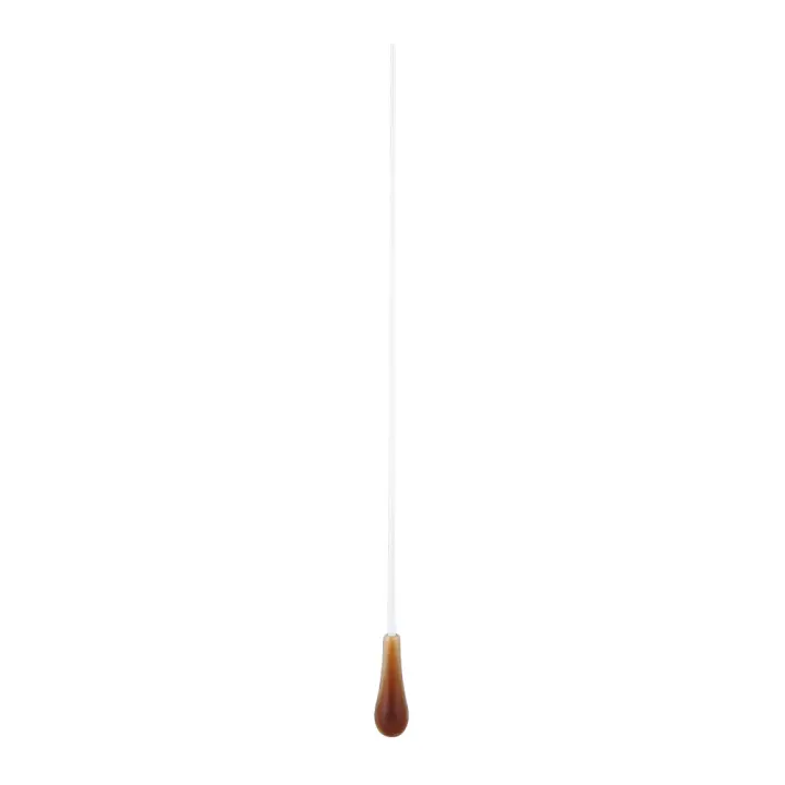 Batuta De Música Profesional En Resina Para Escenario Performance Director Wand Stick Para Concierto Orquesta Equipo Conductor Regalo - 1